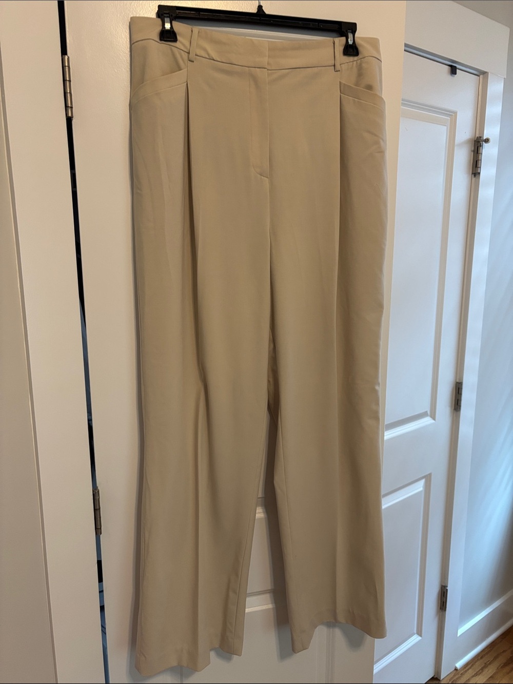Women's Wide-Leg Dress Pants in Beige